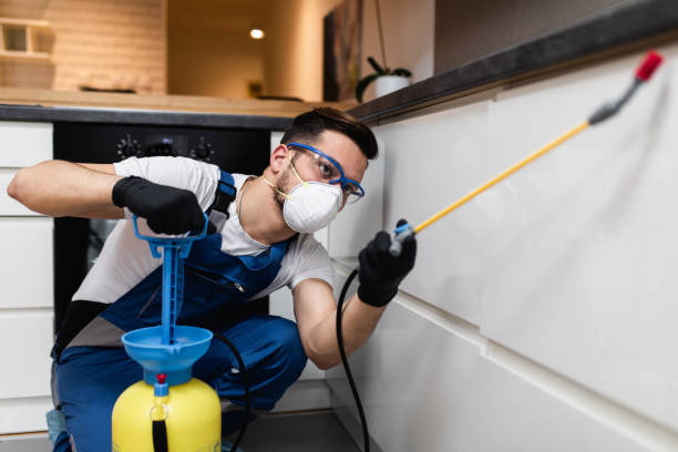 Best Local Pest Control Services  in Portola, CA