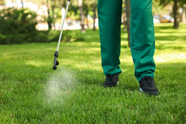 Best Ant Control Services  in Portola, CA
