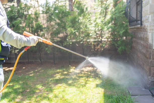 Best Best Pest Control Companies  in Portola, CA