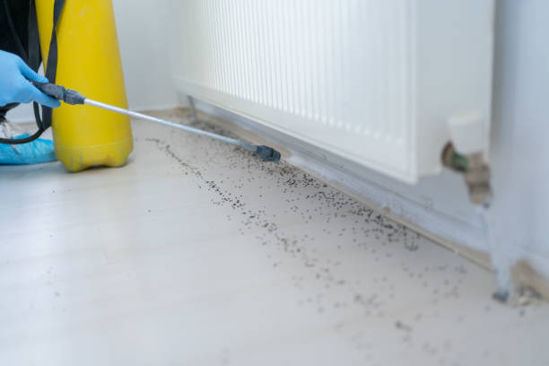 Best Best Pest Control Companies  in Portola, CA